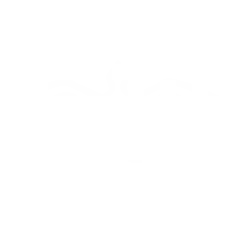 CELTIC BIRD